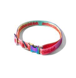 ASSC CHOCKER ( DOG COLLAR )