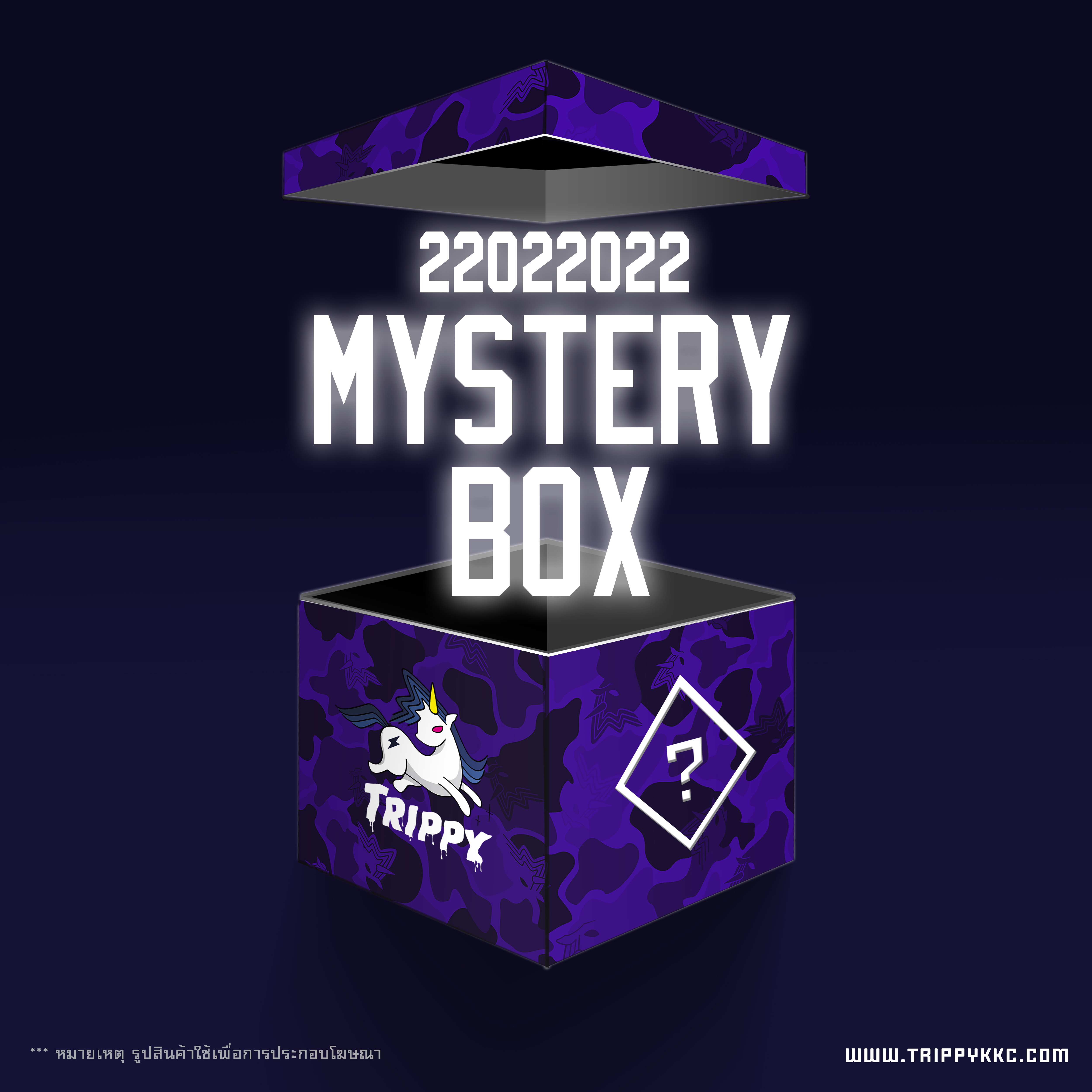 MYSTERY BOX 2022